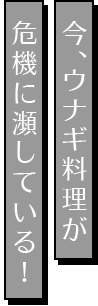 今、ウナギ料理が危機に瀕している！