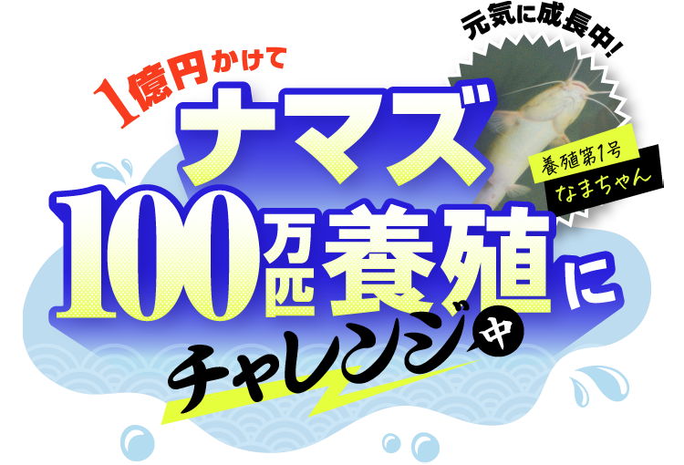 1億円かけてナマズ100万匹ナマズにチャレンジ中